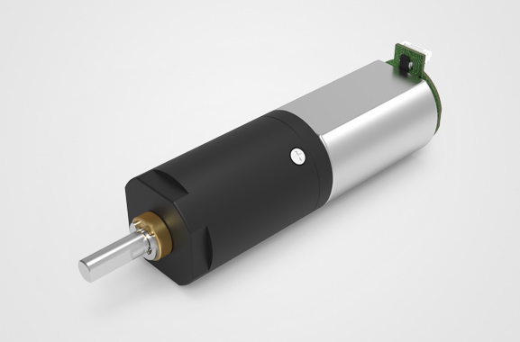 ������ȫ�����ڵ��